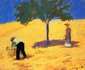 Tree in the cornfield