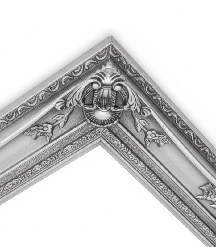 Carra、Anarchist Galli、希少画集画、新品額付 Carra、Anarchist